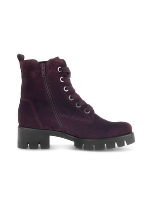 Gabor, STIEFELETTE - Schnürstiefelette - mulberry