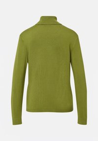 Zielony długi rękaw turtleneck sweter widziany z tyłu, z prążkowanym kołnierzem i mankietami na białym tle.
