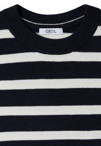 Pull en maille à rayures horizontales bleu marine et blanc avec un col rond et une étiquette portant la mention "CECIL" à l’intérieur du col.