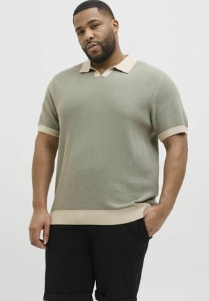 Lichtgroen gebreid poloshirt met begeren kraag en manchetten, korte mouwen en een textuurpatroon. Draagt met zwarte shorts.