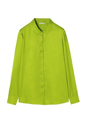 Bluza dugih rukava svijetlozelene boje izrađena od glatkog materijala. Ima klasičnu kragnu i prednji dio s dugmadi u istoj boji.