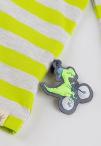 Grün und grau gestreifter Stoff mit einem Dinosaurier-Schlüsselanhänger, der einen T-Rex auf einem Fahrrad zeigt. Der Schlüsselanhänger hat gestickte Details und eine Schlaufe zur Befestigung.