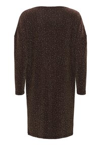 Pikk, lahtise lõikega tumepruun kleit, kus on peen hõbedane tekstuur, pika varrukaga ja laia kaelusega. Riietusel pole nähtavaid kinnitusi.