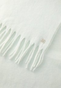 Világos menta zöld gyapjú sál, bojtokkal az élein és egy kis geometrikus fém címkével, puha textúrával és egységes színnel.