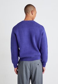 Weekday REGULAR - Jumper - bright blue