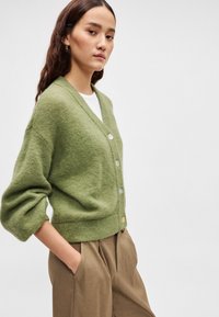 Πράσινη μάλλινη ζακέτα με V λαιμόκοψη, κουμπιά εμπρός σε διάφορα χρώματα και φαρδιά, φουσκωτά μανίκια. Συνδυάζεται με καφέ παντελόνια ψηλόμεσα.