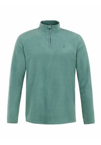 Non selezionato, atlantic green