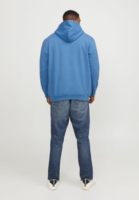 Jack & Jones JJEBRADLEY HOOD - Sweatshirt - pacific coast