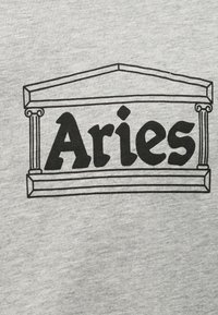 Μαύρη γραμμή που απεικονίζει την όψη ενός ελληνικού ναού με τη λέξη Aries με έντονα μαύρα γράμματα πάνω σε ανοιχτό γκρι υφασμάτινο φόντο