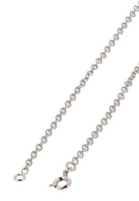 Zilveren metalen ketting met ronde schakels en een kreeftsluiting. Glad oppervlak met een gepolijste afwerking, met gelijkmatig verdeelde lussen door de hele ketting.