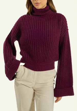 Strickpullover - jam