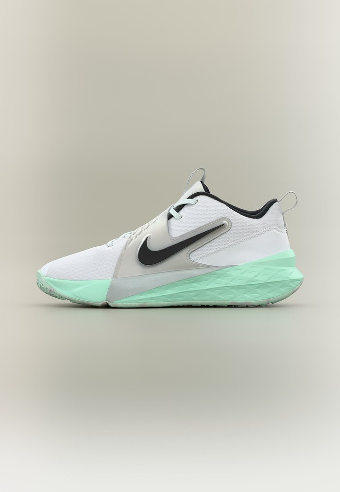 Nike TEAM HUSTLE D 12 GS UNISEX - Zapatillas de baloncesto - white/black/mint foam/metalilc silver-coloured/pure platinum-coloured