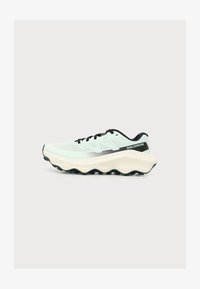 Unselected, clearly aqua/vanilla ice/lichen