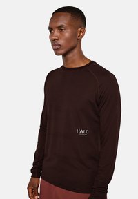 Mann trägt dunkelbraunes, langärmeliges, strukturiertes Hemd mit "HALO"-Logo auf der linken Seite, steht vor einem einfarbigen hellen Hintergrund und schaut nach links.