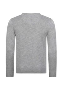 Hellgrauer Pullover mit langen Ärmeln, gerippten Bündchen, Saum und rundem Ausschnitt, von hinten vor weißem Hintergrund gezeigt.