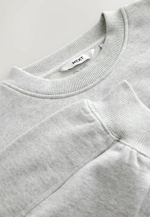 Next, REGULAR FIT - CREW NECK SWEATSHIRT - Sweatshirt - grey marl