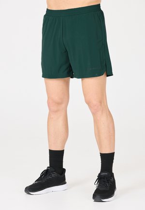 ENDURANCE  - Träningsshorts - groen