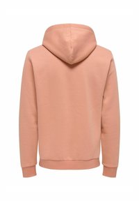 Hoodie i mjukt, blush-pink tyg. Har en enkel design med långa ärmar och ribbade mudd. Slät textur, inga synliga dekorationer.