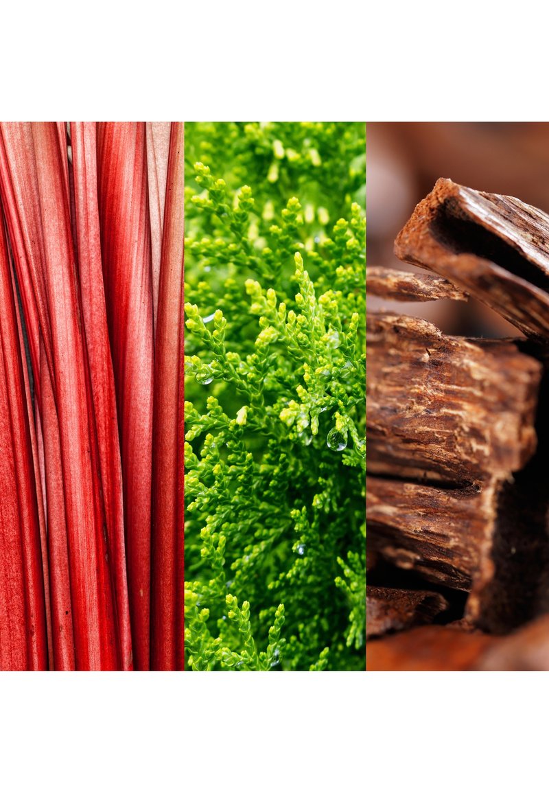 Røde plantefibre til venstre, frodig grønn løvverk i midten med dråper, og teksturert brunt tre til høyre.