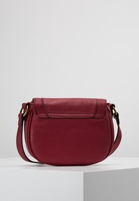 Borsa a tracolla in pelle rossa con forma arrotondata, coperchio pieghevole e tracolla regolabile. Presenta dettagli in metallo dorato e cuciture sottili.
