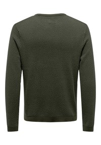 Grüner Strickpullover mit strukturiertem Muster, langen Ärmeln, Rundhalsausschnitt und gerippten Bündchen und Saum. Die Rückansicht zeigt ein einheitliches Design.