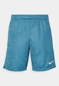Pantalones cortos deportivos azules con una cinturilla elástica y el logo de Nike en blanco en la parte inferior derecha de la pierna, sobre un fondo blanco liso.