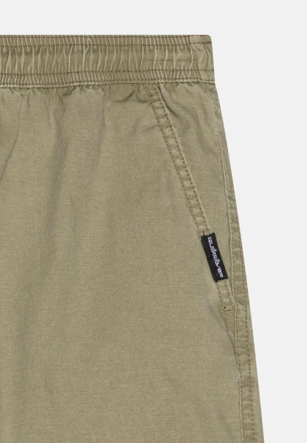 TAXER YOUTH - Shorts - aloe3