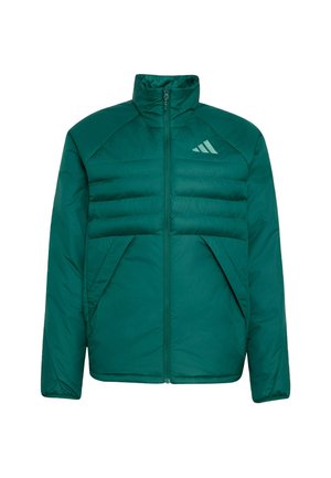 adidas Terrex, - Kurtka zimowa