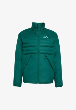adidas Terrex, - Kurtka zimowa