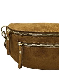 Sac en daim marron avec deux zips sur le devant, quincaillerie dorée et pompons sur les côtés. Design arrondi avec une texture douce et des détails de couture visibles.