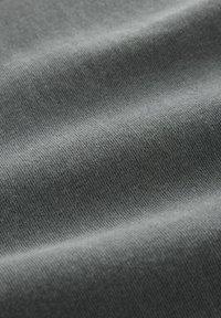 ARTIST LICENCE - Marškinėliai su spaudiniu - charcoal grey hiroshige