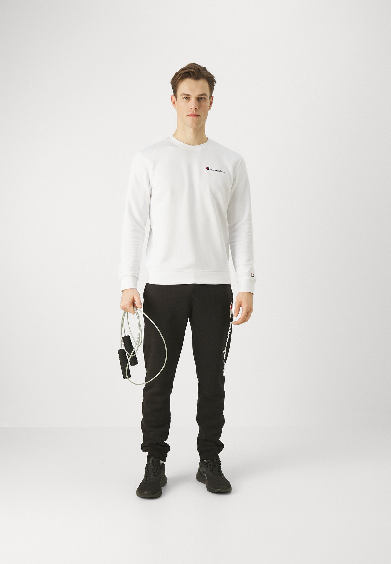 ICONS CREWNECK SMALL LOGO