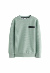 Baker by Ted Baker REGULAR FIT - Mikina - green