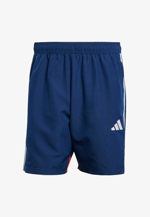 Pantalones cortos deportivos azul marino con una cintura elástica, rayas blancas en los laterales y un pequeño logo blanco en la parte inferior de la pierna izquierda. Material ligero.