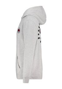 Gray hooded sweatshirt with a front pocket, featuring black and red graphic details on the chest and sleeve. Soft, cotton-blend material.