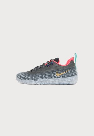 Nike Performance, ST FLARE 2 OUTDOOR UNISEX - Scarpe da basket - iron grey/metallic gold-coloured/photon dust