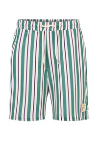 Randiga badshorts med vertikala ränder i grönt, vitt och lila, med elastisk midja och snörning. Logotyp vid nederkant.