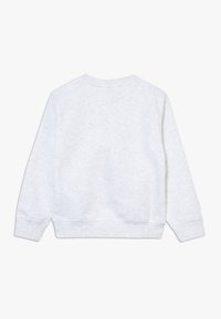 Lichtgrijze sweatshirt met een zachte textuur, ronde hals en lange mouwen. Voorzien van geribbelde boorden bij de mouwen en zoom, achteraanzicht weergegeven.