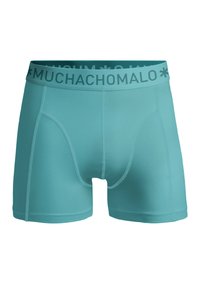 Moška bokserica v aqua modri barvi z oznako na elastičnem pasu, gladko teksturo in prilegajočo se zasnovo z odprtino za letenje.