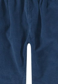 Pantaloni in velluto a coste blu navy con una finitura testurizzata, caratterizzati da un taglio dritto e una cucitura centrale sulla parte anteriore per un tocco di dettaglio.
