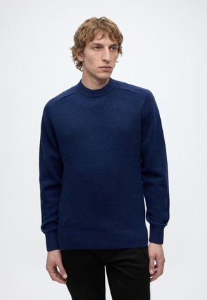 Jeune homme aux cheveux blonds bouclés portant un pull bleu à col rond et un pantalon noir, debout devant un fond clair et uni.