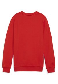 Felpa rossa con maniche lunghe, collo rotondo e polsini a costine. Realizzata in morbido cotone, presenta un colore uniforme e una texture liscia.