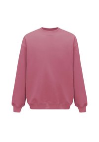 Bluza, jednolita jasnoróżowa, okrągły dekolt, długie rękawy, ściągacze u dołu rękawów i u dołu, wykonana z miękkiej tkaniny o gładkiej strukturze.