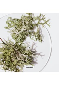 Mousse de chêne séchée dans des teintes de vert et de crème, présentant un design texturé et ramifié, exposée sur une assiette transparente avec un texte en dessous.