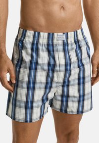 Shorts de bain à carreaux bleus et blancs avec une taille élastique ; présentent différentes nuances de bleu, et une étiquette cousue à l'arrière.