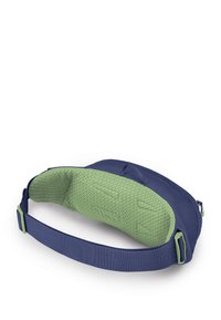 Osprey DAYLITE WAIST PACK - Gürteltasche - blue spikemos alkaline
