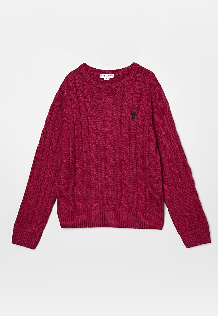 U.S. Polo Assn. Trui meerkleurig