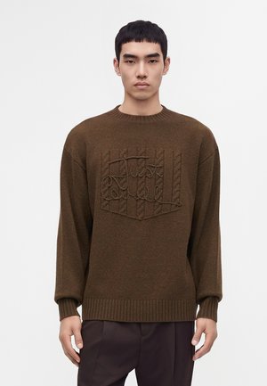 Young man with short black hair wearing a brown knitted sweater with textured square pattern and dark pants standing against a plain background.