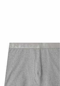 Boxer in grigio realizzati in tessuto morbido con un elastico liscio e aderente, su cui è impresso il nome del marchio 'ANKDANDY' in una tonalità chiara.