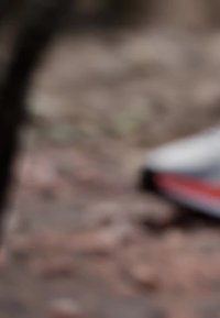 Trail-løbesko i grå og sort med røde accenter. Tekstureret sål for godt greb, med en åndbar mesh-overdel.